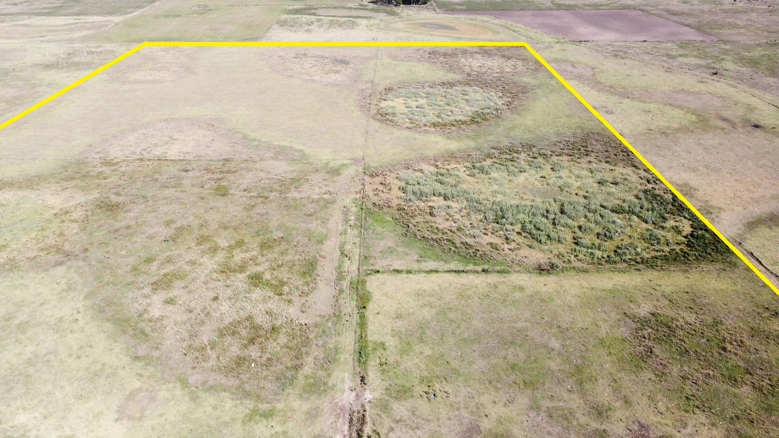 Campo De 29 Has En Roque Perez, Ganadero, Con Casa A Refaccionar, Tinglado, Ex Criadero De Cerdos En Mal Estado