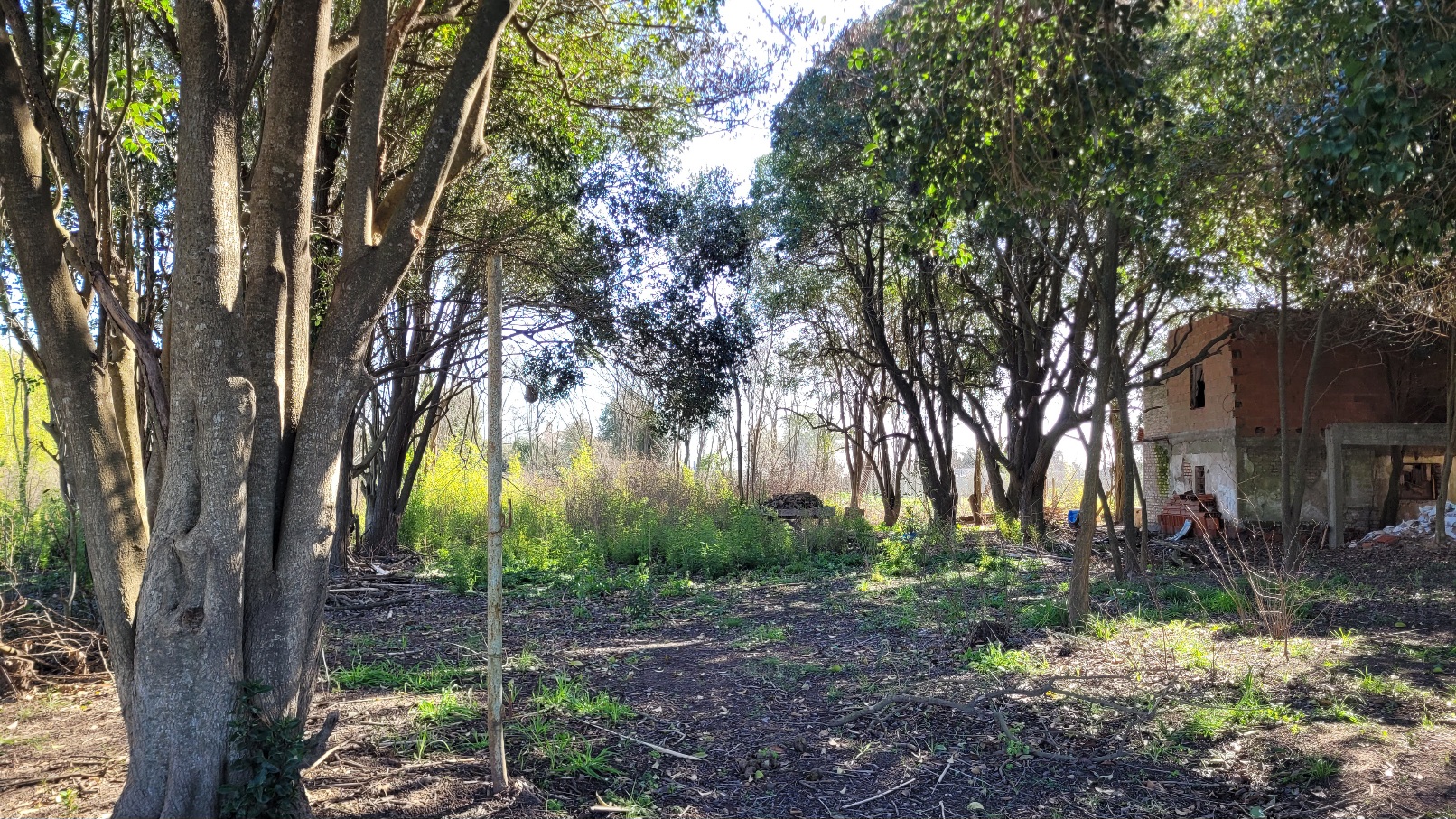 Se Venden Lotes En Zona De Quintas De Roque Perez, Arboleda, Hermoso Entorno (financiacion)