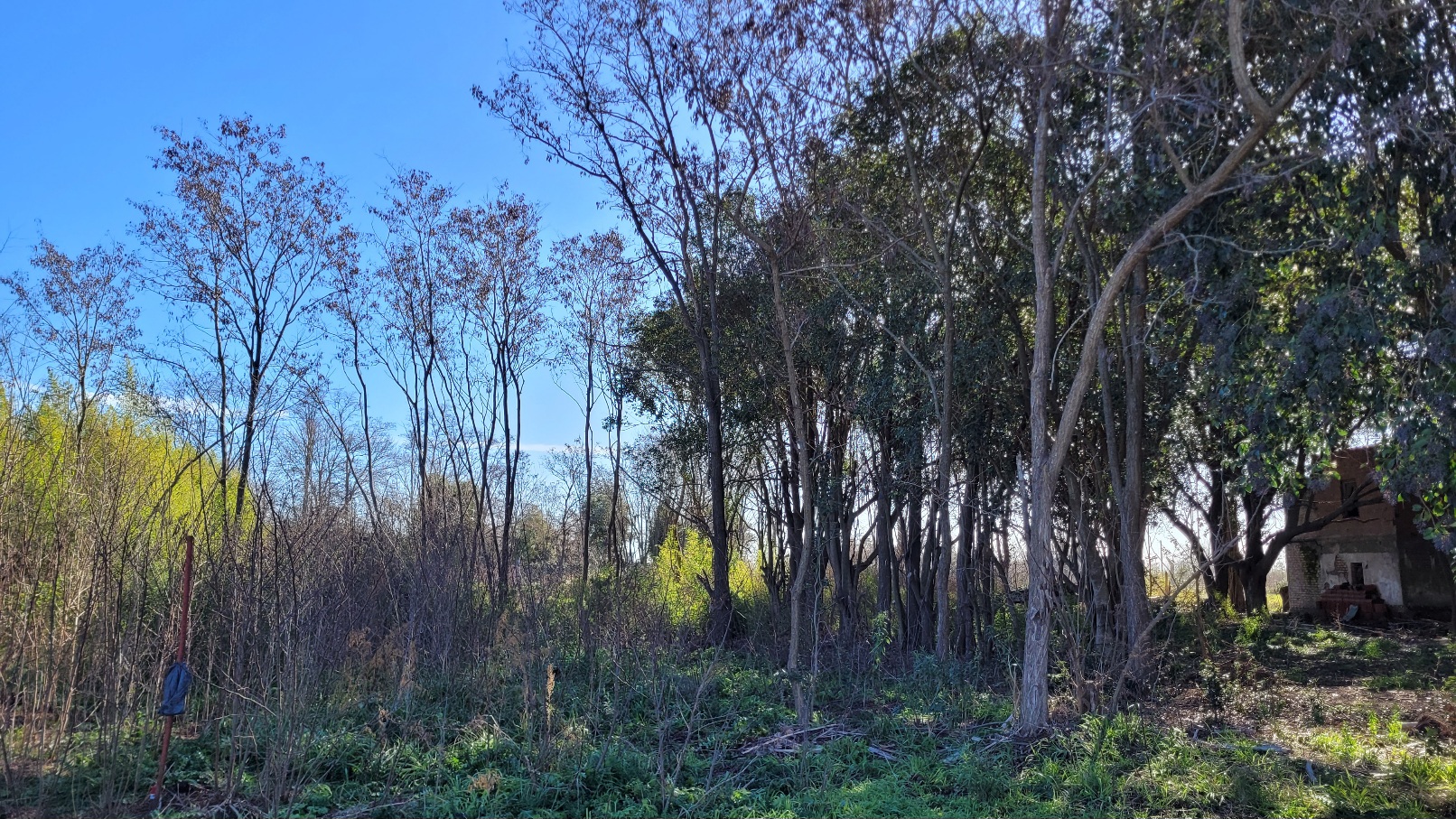 Se Venden Lotes En Zona De Quintas De Roque Perez, Arboleda, Hermoso Entorno (financiacion)