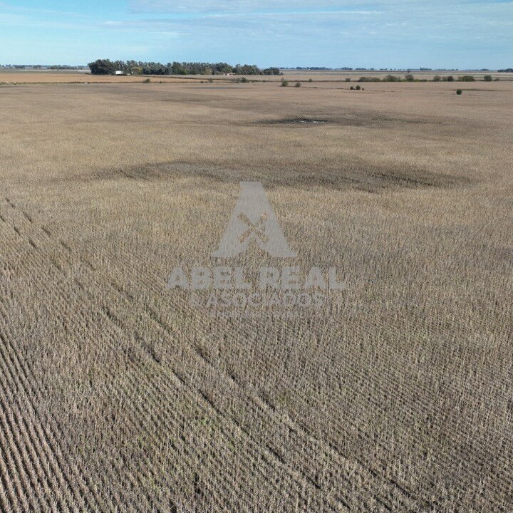 30 ha Bermúdez Prov. de Buenos Aires