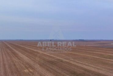 70 ha Blaquier -Prov. de Buenos Aires