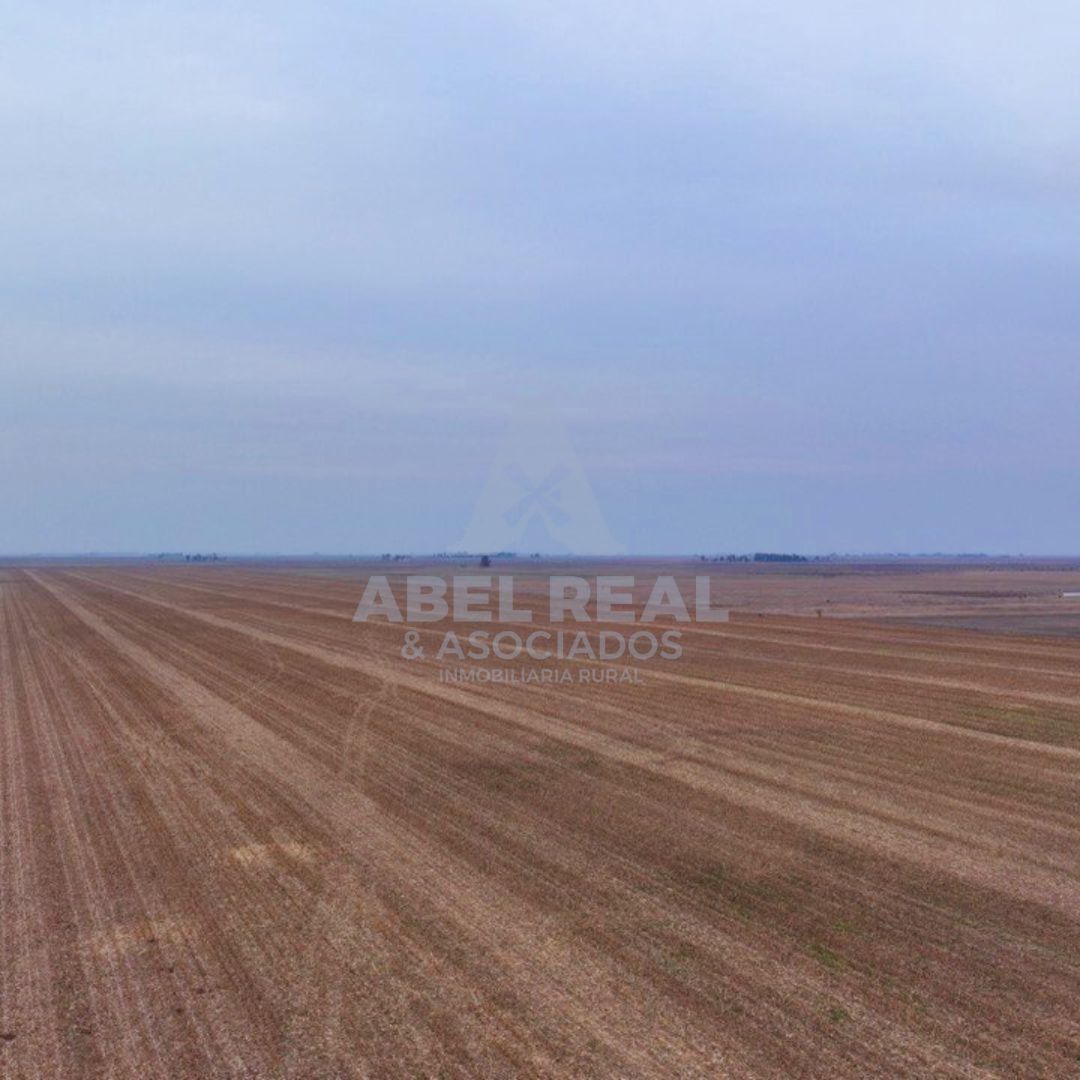 70 ha Blaquier -Prov. de Buenos Aires