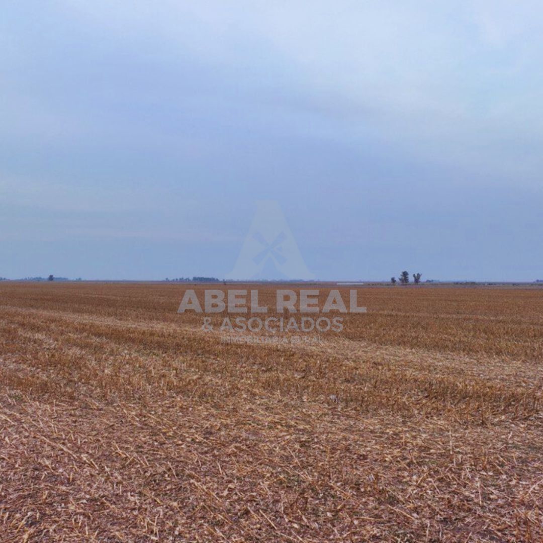 70 ha Blaquier -Prov. de Buenos Aires