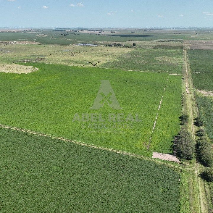 130 HA  SAN GREGORIO, SANTA FE. CAMPO MIXTO