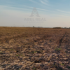 60 ha L.N. Alem