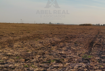 60 ha L.N. Alem