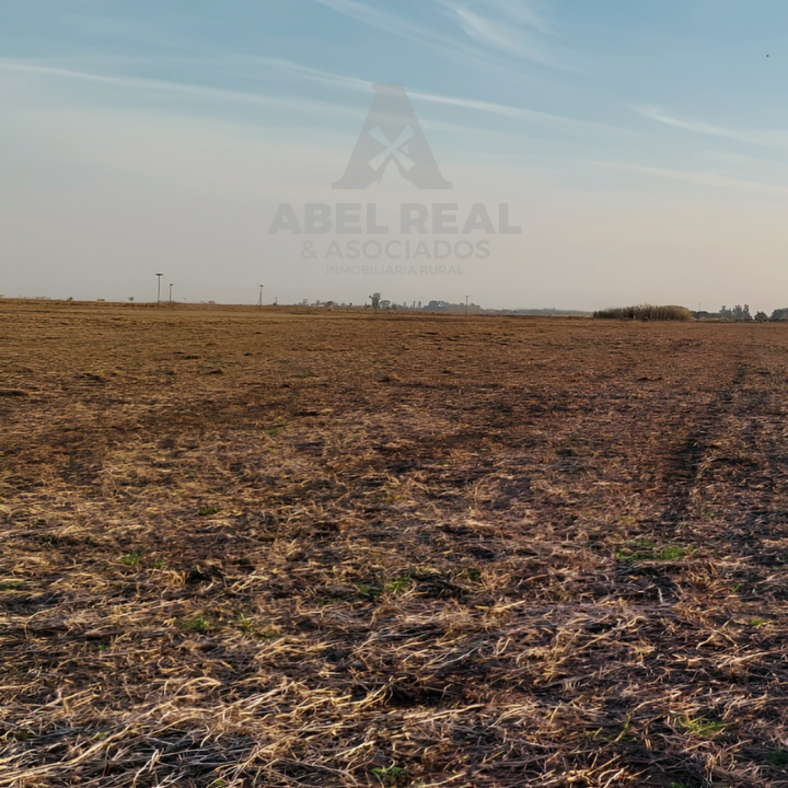 60 ha L.N. Alem