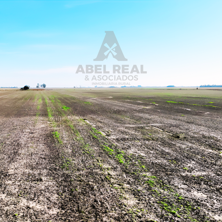 60 ha L.N. Alem