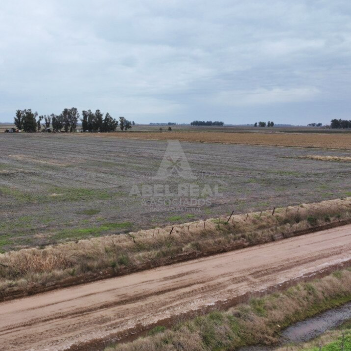 380 ha Blaquier