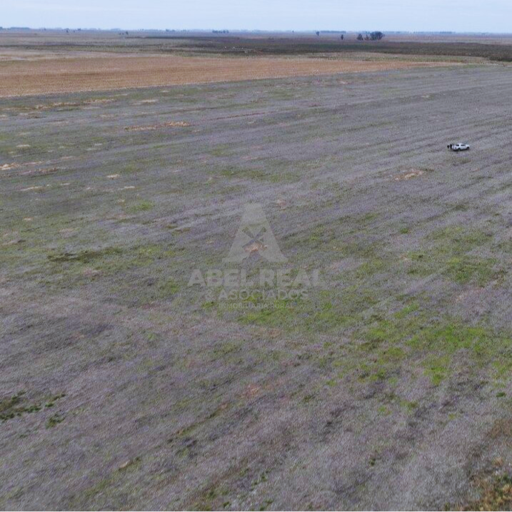 380 ha Blaquier