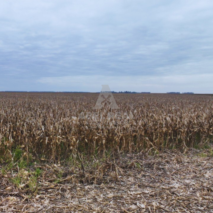 380 ha Blaquier