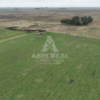 450 ha Blaquier.Excelente Campo Mixto de Gran Potencial Productivo