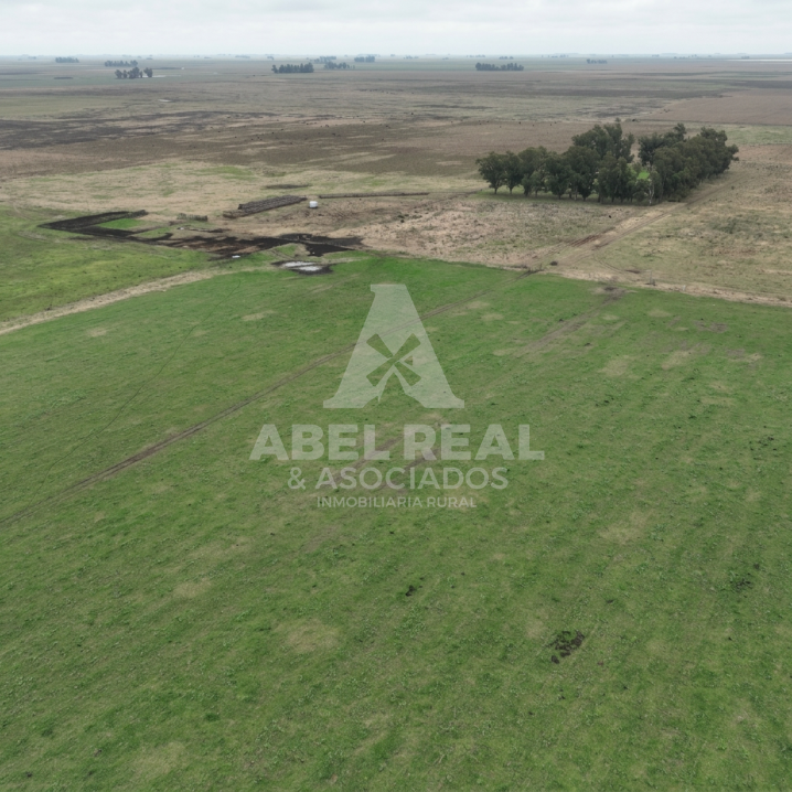 450 ha Blaquier.Excelente Campo Mixto de Gran Potencial Productivo