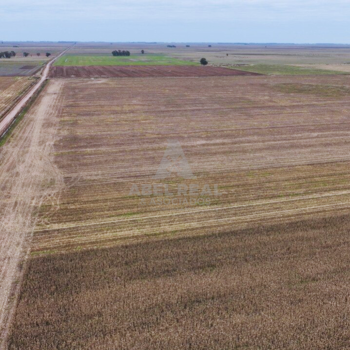 380 ha Blaquier
